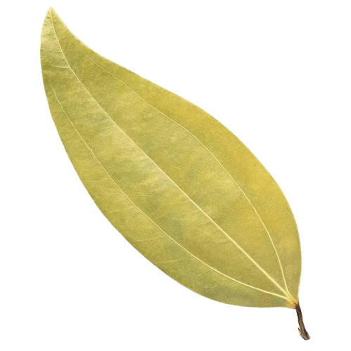 Bay Leaf